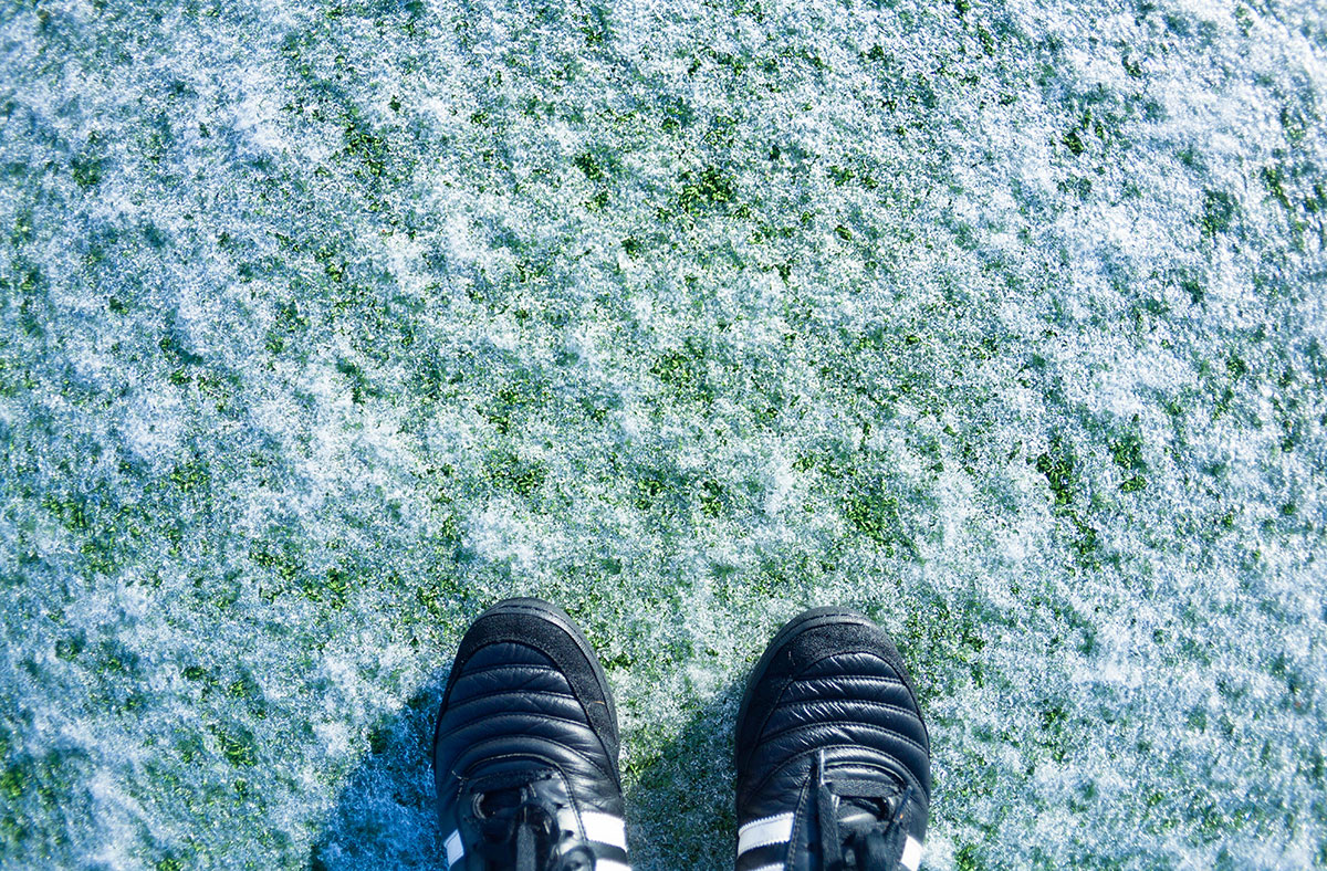 understanding-the-affect-of-frost-on-your-artificial-grass-texas