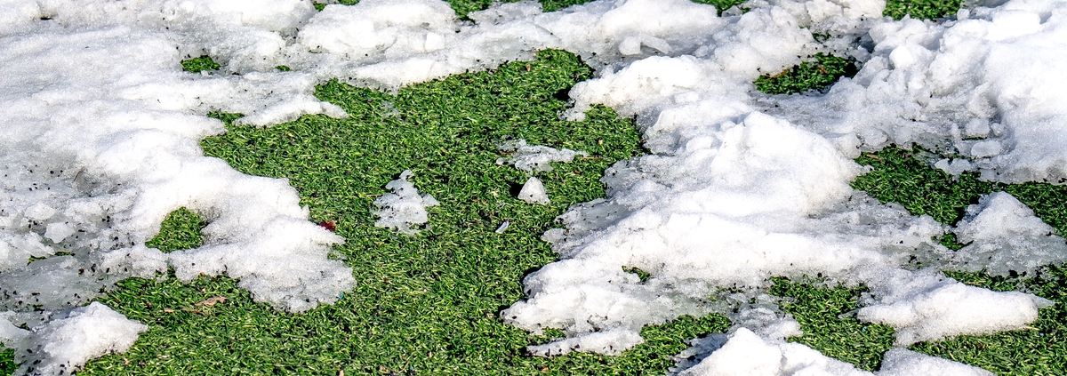 How to Keep Your Artificial Turf Looking Great This Winter